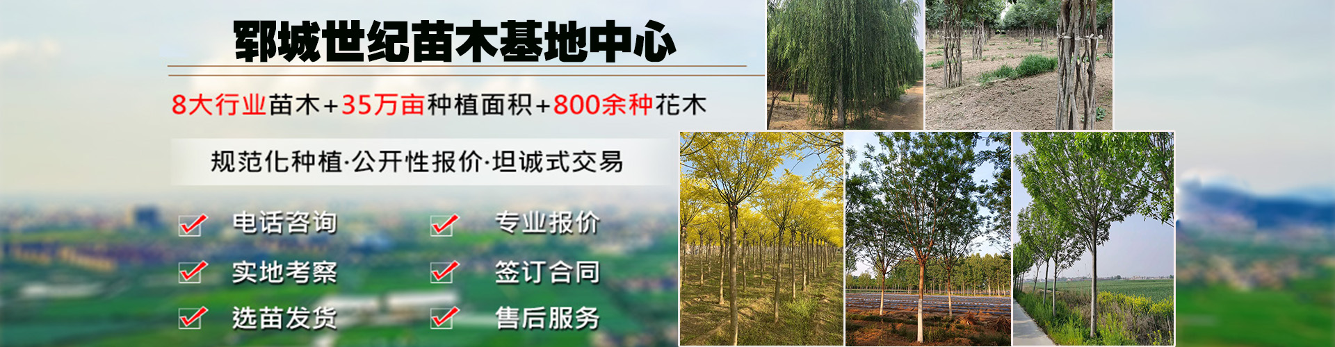 lun1.jpg