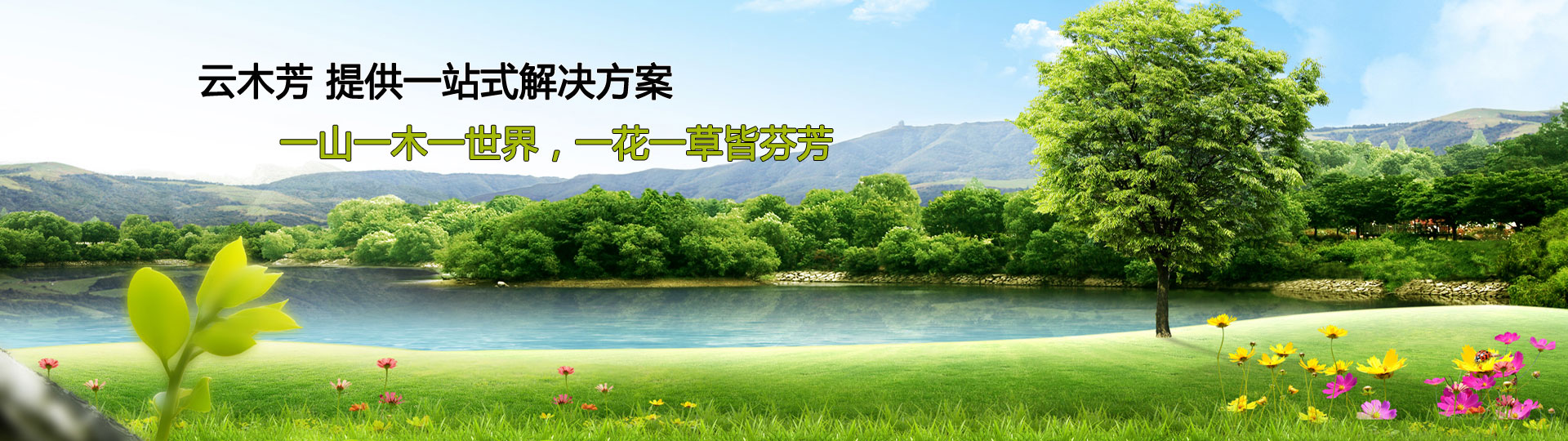 1-1610091KS90-L.jpg