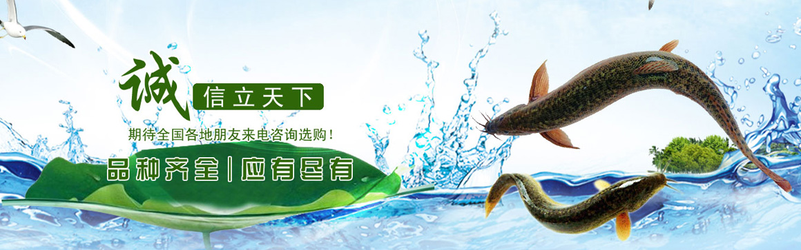 banner3.jpg