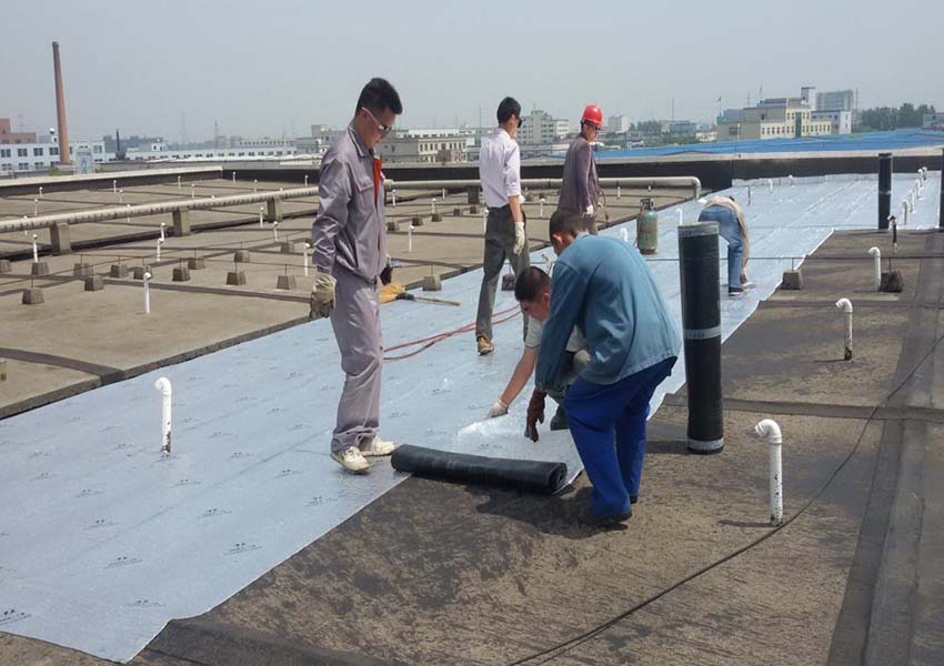 防水工程案例1.jpg