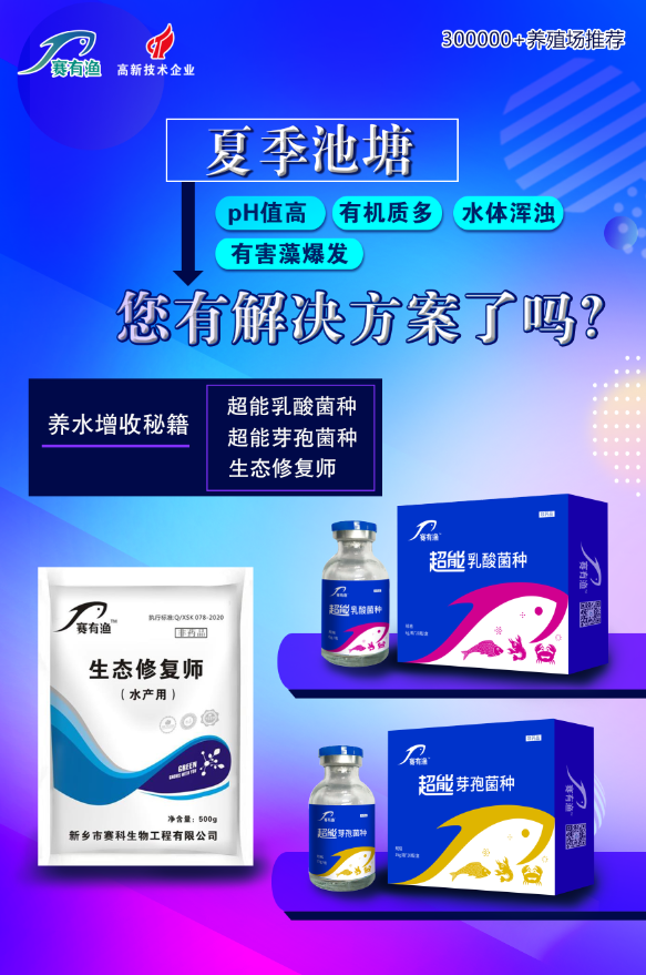 雨季池塘改底调水.png