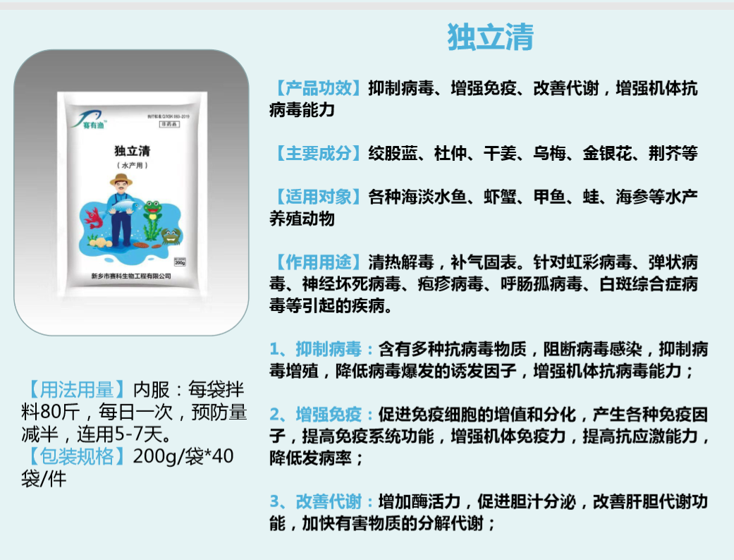 独立清.png