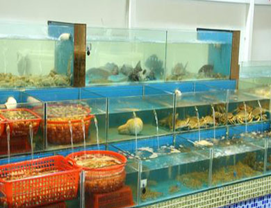 海鲜暂养池.jpg