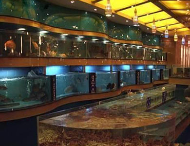 酒店海鲜池.jpg