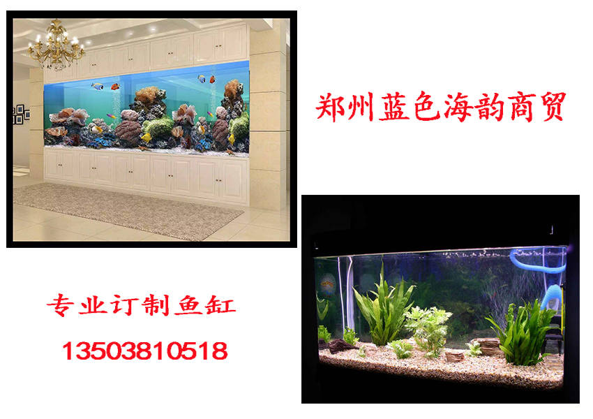 专业订制鱼缸案例.jpg