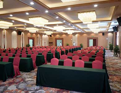 会议策划.jpg