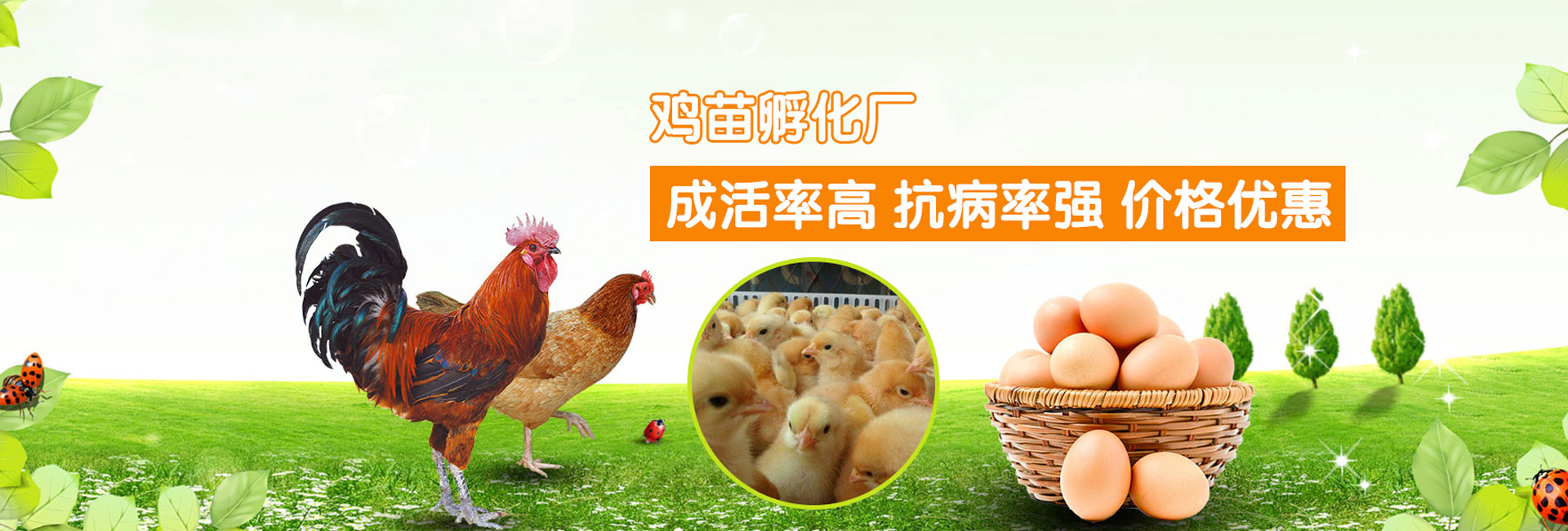 轮播.jpg