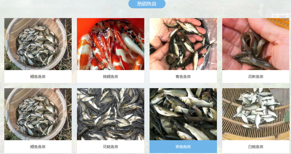 wechat_2025-06-27_115904_132.png